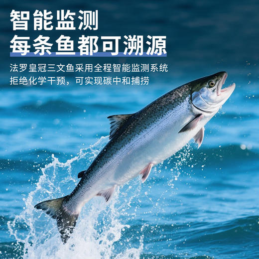 【预售3天】不花心法罗精品皇冠鲜切三文鱼丨220g/盒可生食鱼腩中段拼盘现切现发 商品图5