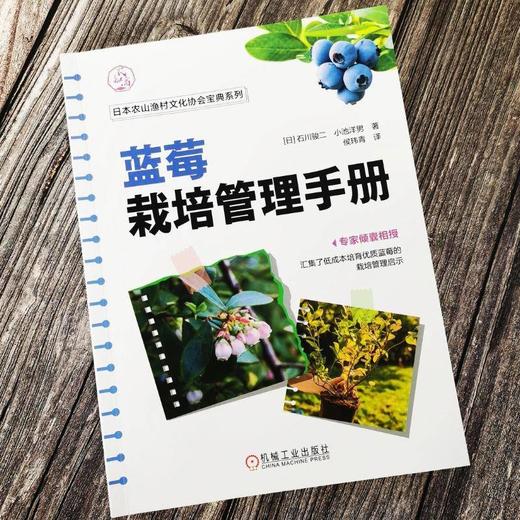 官网 蓝莓栽培管理手册 石川骏二 蓝莓育苗技术栽培管理选种技巧 蓝莓种植教程书籍 商品图1