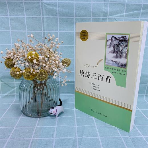 九年级上册课外名著阅读 正版保证 唐诗三百首 人教版 商品图1