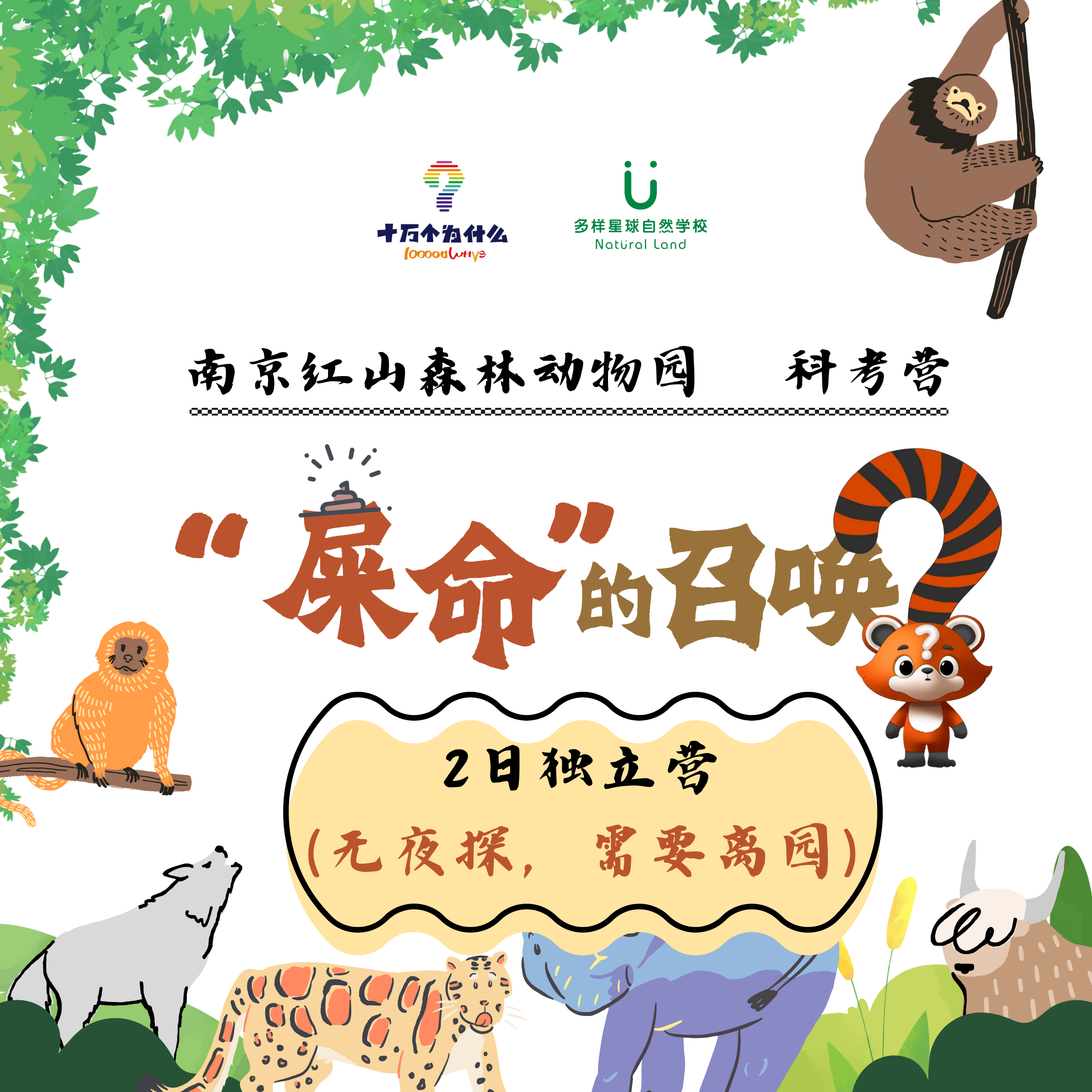 【年糕妈妈定制款】“屎命的召唤”红山动物园2日独立营（无夜探，需要离园）