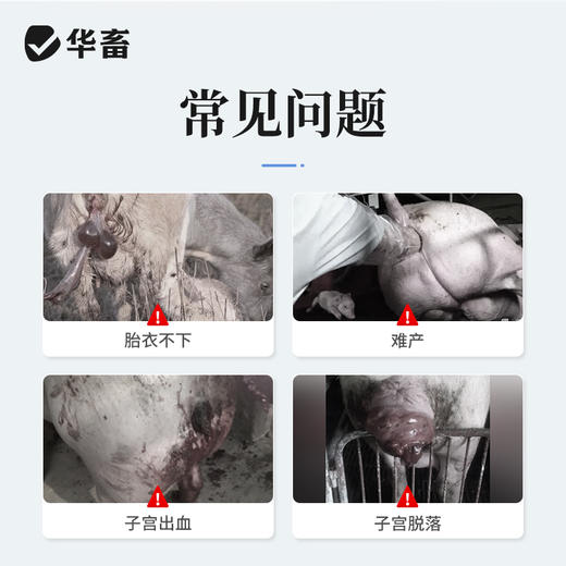 华畜兽药缩宫素 注射液催产针母猪药 催产素促排3号兔牛羊兽用 商品图1