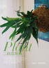 板植鹿角蕨 商品缩略图2