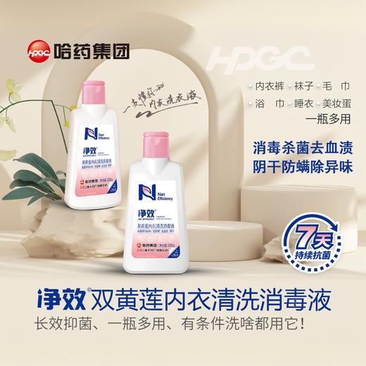 净效双黄莲内衣清洗消毒液210g/瓶 商品图2