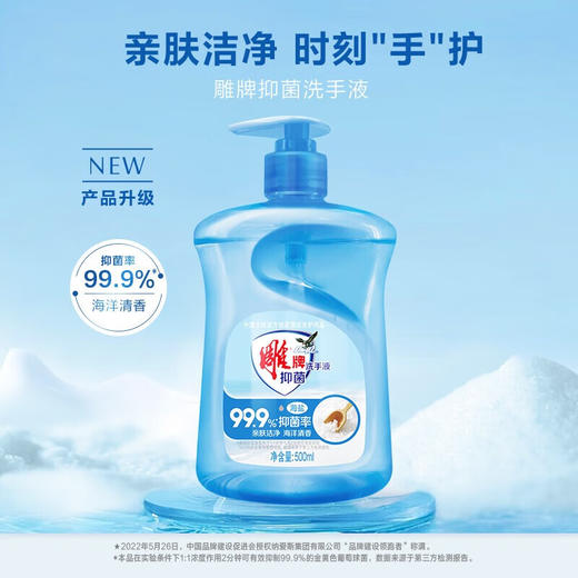 雕牌 海盐洗手液500ml清香家用便携健康护手 500ml*2瓶 商品图1