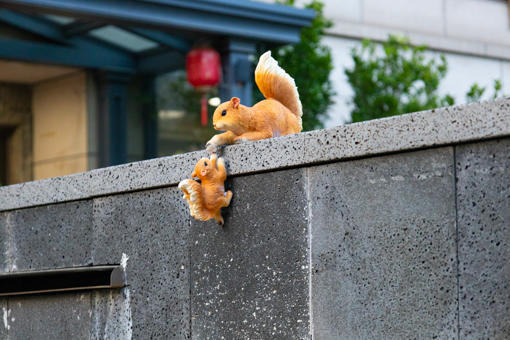 武汉慢姑娘驿山高尔夫轰趴馆 商品图11