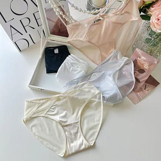 皇家丽美轻薄透气无痕镂空缎面内裤DKM1434 商品图4