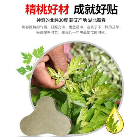 贡艾堂  蕲艾肩颈贴 17cm*12cm*2cm 12贴 商品图2