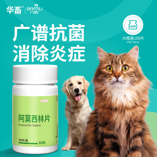 华畜狗狗猫咪感冒药打喷嚏流鼻涕猫鼻支治疗专用消炎药阿莫西林片 商品图0