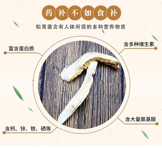 云南雪山松茸（盒装） 商品图3