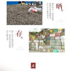 贡艾堂  蕲艾条盒装 10支/盒 商品缩略图2