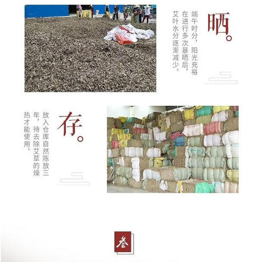 贡艾堂  蕲艾条盒装 10支/盒 商品图2