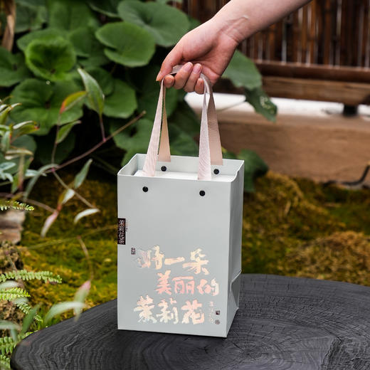 画框雅集【茉莉花茶 两小方罐】31元一套/一件24套 商品图5