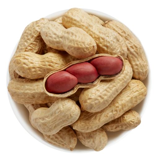 粒上皇 原味花生500g 商品图1