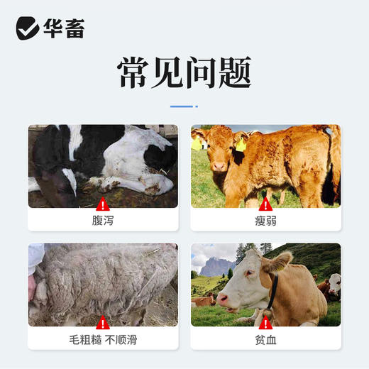 华畜5%氯氰碘柳氨钠注射液10ml*10支 肝片吸虫 牛羊驱虫药 商品图1