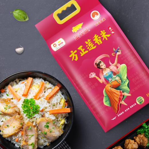 金龙鱼方正莲香米5KG 商品图2