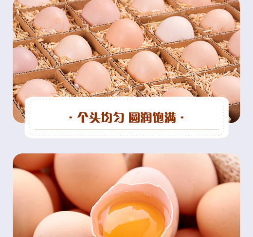 鑫勇泰 高山谷物鸡蛋 30枚 商品图3