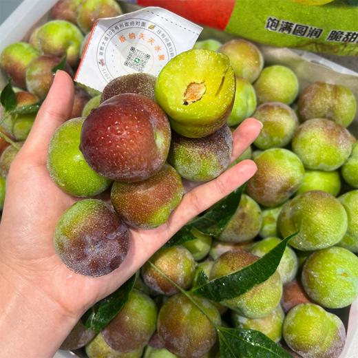 半边红脆李 李子 商品图0