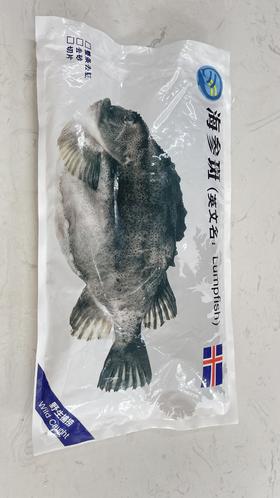 【冰岛海参斑】 一条鱼约2-3斤，去鳞、去鳃、去脏，免洗，只有一根软骨 青岛顺丰/京东发货 {冷冻生鲜请及时签收}