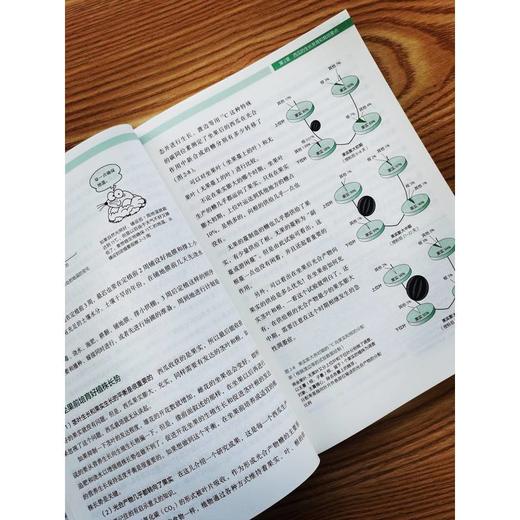 官网 西瓜栽培管理手册 中山 淳 町田刚史 西瓜栽培计划制订育苗定植采收病虫害防治 西瓜各个生长期的栽培管理要点书籍 商品图3