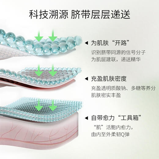 「下单2盒加赠同款5支」DR.COSSET珂瑟皇室修护精粹液 水光润透 稳护肌肤 2ml*30支/盒 商品图4