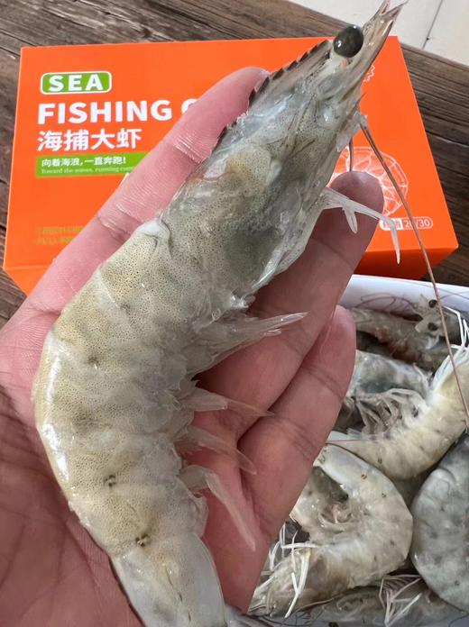 海捕大虾·2025 商品图2
