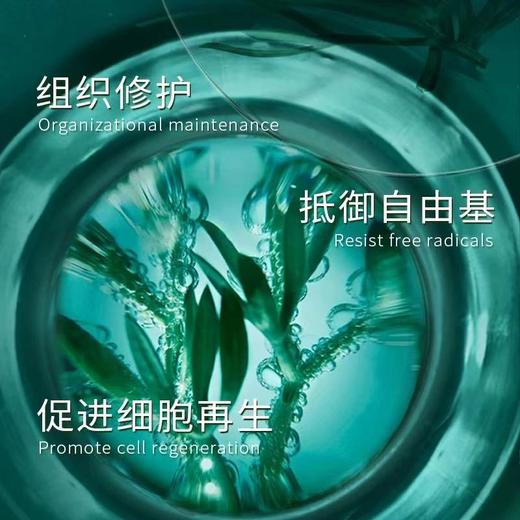 【保税仓直发】HR/赫莲娜新版绿宝瓶全新三件套装（内含：水200ml+精华50ml+乳霜50ml） 商品图3