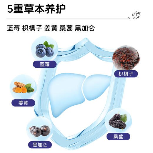 【200积分+149元】好蔬源 七联益生菌枳椇子蓝莓粉 3g*30条/盒 益生元&植萃精华 商品图2