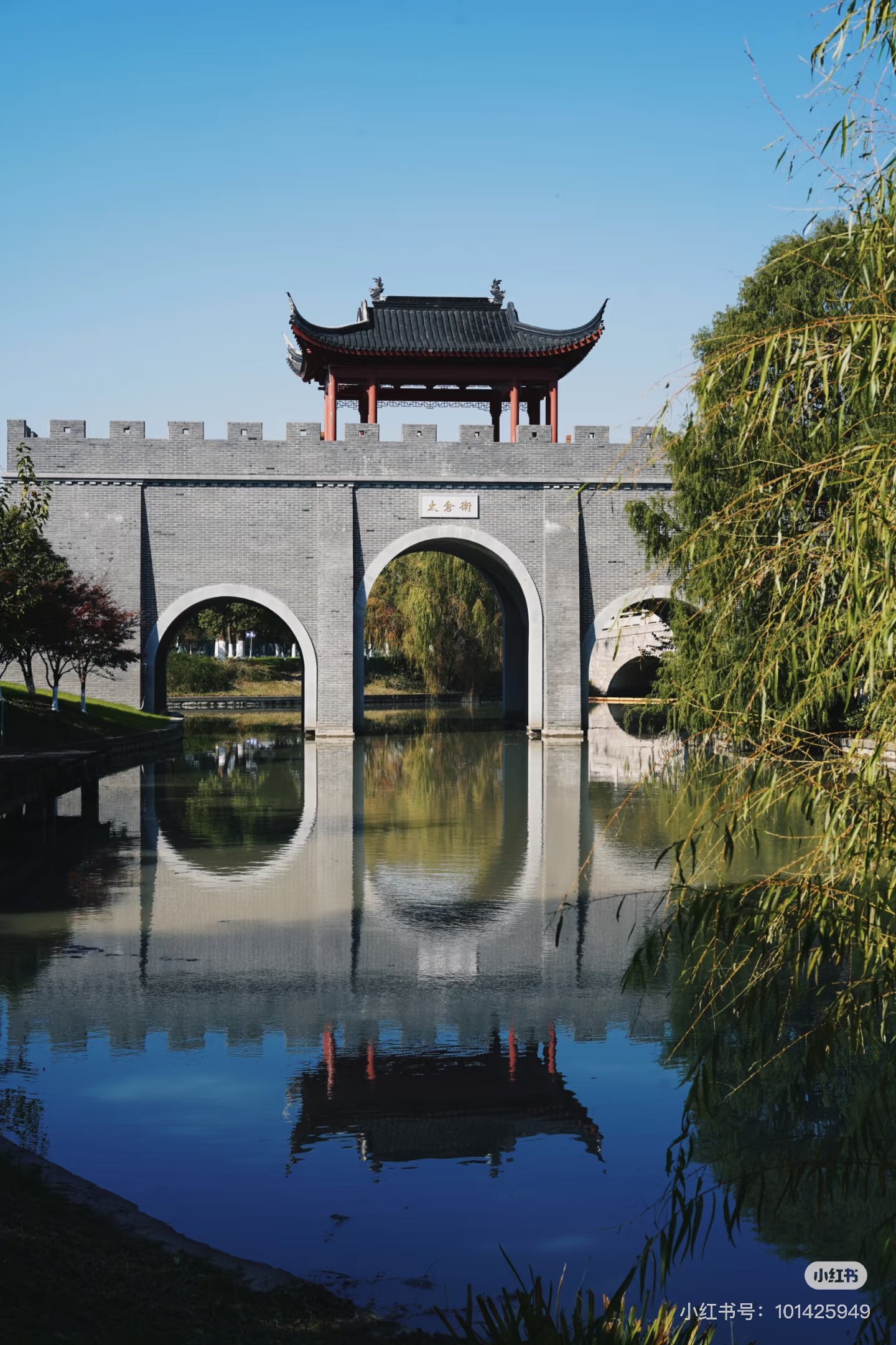 WeCycle大宁久光｜7/12郑和公园休闲骑