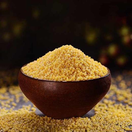 静宁县占斌黄谷米500g*2袋 商品图2