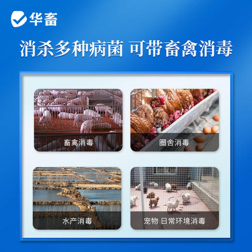 华畜兽药 过硫酸氢钾复合物粉1kg  发明者评测过的生产企业 可带畜消毒 商品图1