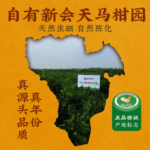 宝福林2010年黄金甲 新会陈皮 XHCP12-HJJ 50克/罐 商品图1