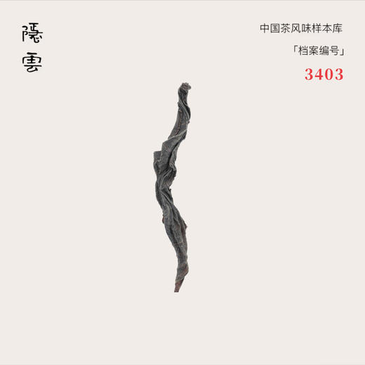 夕远｜2024年六窨茉莉红 商品图0