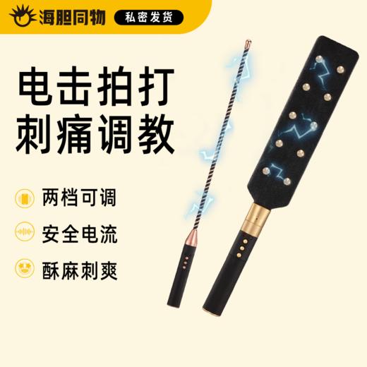 Roomfun 房趣电击调教棒 商品图0