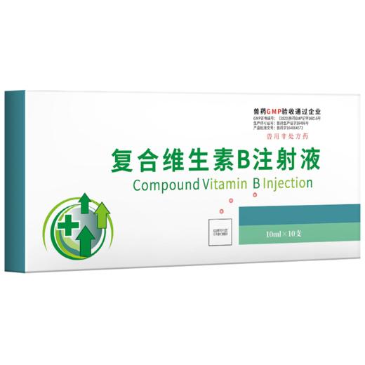 华畜兽药 复合维生素B注射液 猪牛羊赖皮病口腔炎 商品图4