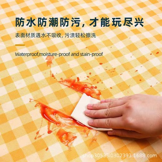 野餐垫防潮垫加厚野餐布便携防水野炊郊游帐篷垫露营垫子户外用品 商品图3