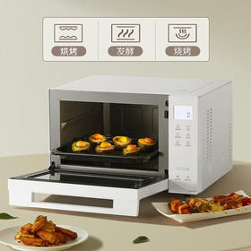 松下（Panasonic）微波炉变频微波炉节能微波炉烤箱一体机微波炉NN-DF37PW微烤炸一体机23L家用微波炉_qb