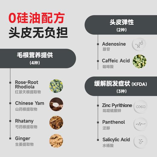 【保税仓】Dr.FORHAIR固发蓬松洗发水 商品图3