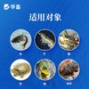 华畜10%恩诺沙星可溶性粉水产用鱼虾蟹出血腹水肠炎烂鳃鱼药水产 商品缩略图3