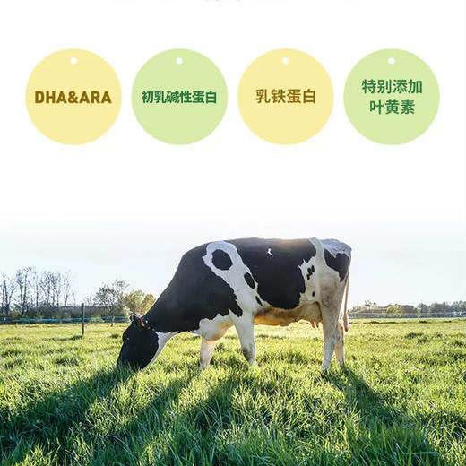 澳大利亚进口珍澳儿童配方奶粉800g 商品图2