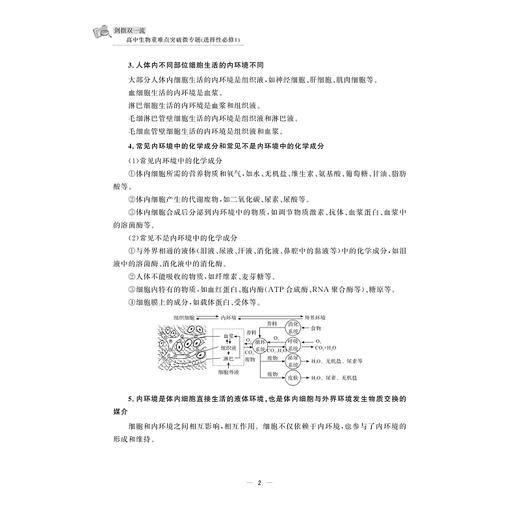 剑指双一流·高中生物重难点突破微专题（选择性必修1）/金松涛 徐玉华主编/浙江大学出版社/高二/同步培优 商品图2