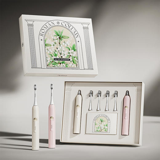 【绮】艾优T12-A电动牙刷情侣套装 商品图0