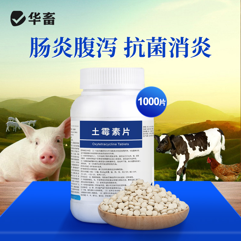华畜土霉素 1000片    肠炎腹泻
