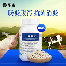 华畜土霉素 1000片    肠炎腹泻