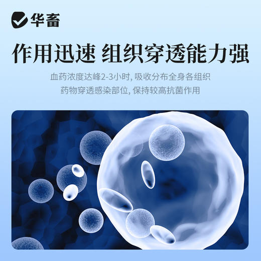 华畜 30%磺胺间甲氧嘧啶呐可溶性粉 呼吸道 消化道 鸡球虫病 泌尿道感染 商品图3