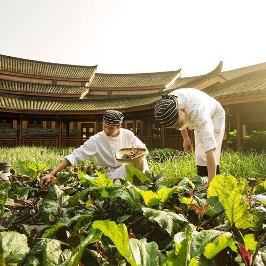 3天2晚【青城山六善酒店】周末限量不加价！暑期可用！享欢迎礼遇迷你吧、儿童活动、丰富店内休闲活动等，支持拆分2间1晚结伴使用~ 商品图6
