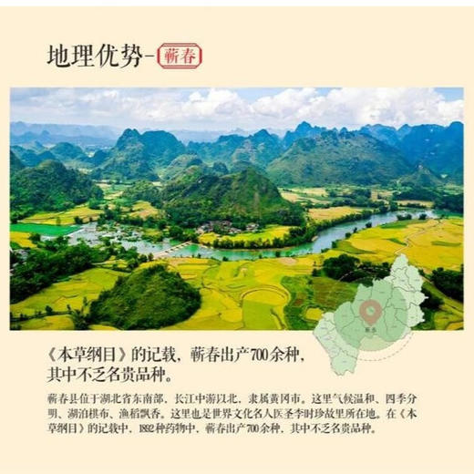 贡艾堂  蕲艾叶原生态艾叶   28cm*20cm 100g 商品图3