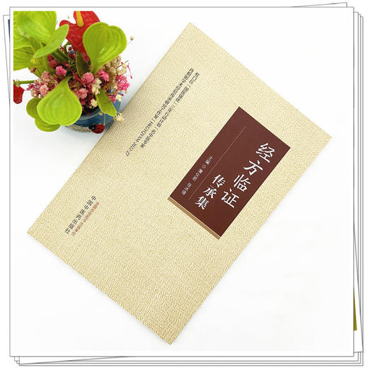 经方临证传承集 薄化君 张冰倩 主编 中国中医药出版社 精选肖相如教授41则案例 中医临床 书籍 商品图1