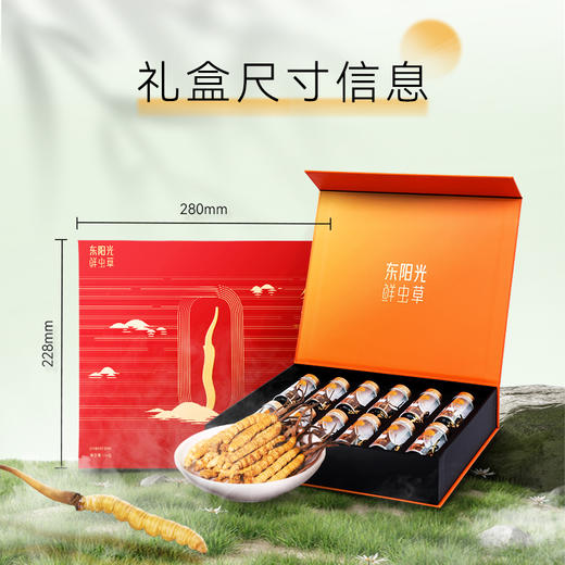 东阳光冬虫夏草 有机冻干虫草15克 3-4根/克 商品图2