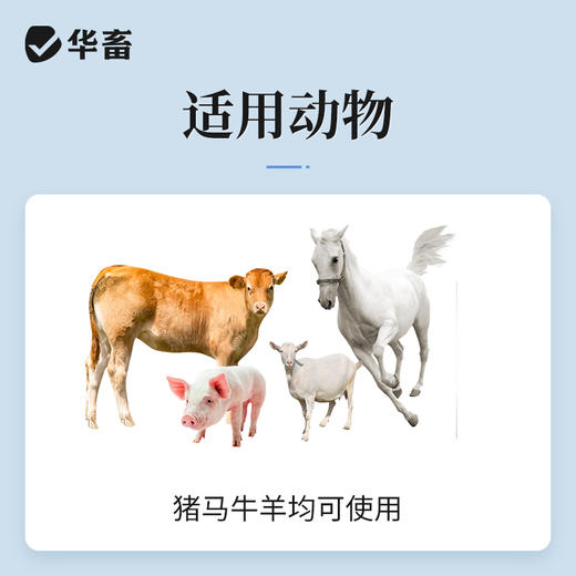 华畜兽药缩宫素 注射液催产针母猪药 催产素促排3号兔牛羊兽用 商品图2