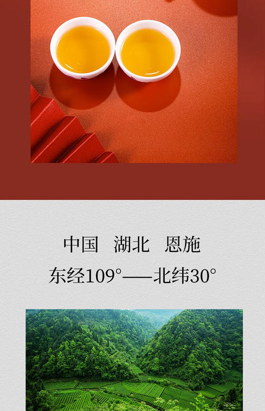 汉口茶厂 宜红工夫经典一级红茶 160g 商品图2